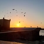Essaouira: due giorni tra vento, onde e magia marocchina