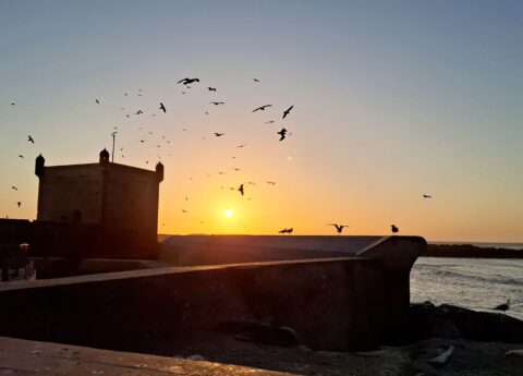 Essaouira: due giorni tra vento, onde e magia marocchina